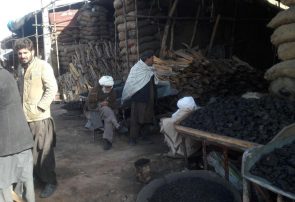 چوب فروشان هرات نگرانند/بازار فروش چوب خیلی کساد شده است