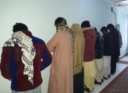 هفت قاچاقچی مواد مخدر در هرات بازداشت شدند