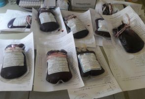 ریاست امور زنان هرات کمپاین اهدای خون راه‌اندازی کرد