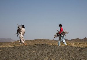 وقتی میراث سر یک جوان غوری را به باد می‌دهد