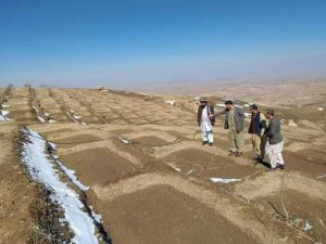 برای گسترش جنگل‌های پسته در بادغیس ساختمان‌سازی برای مهار آب صورت می‌گیرد