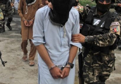  یک عضو استخباراتی طالبان فراه به چنگ استخبارات دولت افتاد