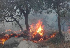 آتش‌سوزی خاک ترکمنستان در بادغیس مهار شد