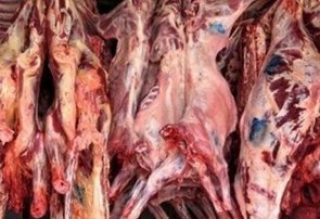 امنیت ملی هرات مانع قاچاق هشت هزار کیلوگرام گوشت به ایران شد