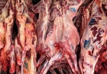 امنیت ملی هرات مانع قاچاق هشت هزار کیلوگرام گوشت به ایران شد