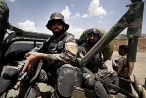 شبیخون امنیت ملی هرات بر یک تجمع طالبان