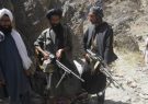 شب خونین برای طالبان فراه؛ ۱۲ کشته و چهار زخمی