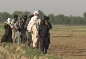 طالبان غور جان یک جوان را به علت ندادن عشر و زکات گرفتند