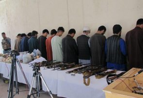 پولیس هرات ۸۴۱ تن را در پیوند با انجام جرایم مختلف دستگیر کرده است