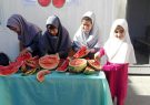 دانش آموزان هرات جشن هندوانه به راه انداختند