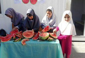 دانش آموزان هرات جشن هندوانه به راه انداختند