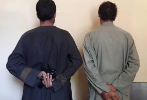 پولیس هرات مانع یک انفجار شد و دو مرد مسلح را دستگیر کرد