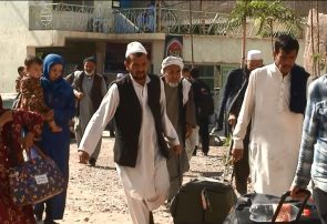در آستانه اربعین هزاران زائر حسینی در هرات پذیرایی می‌شوند