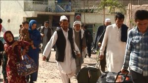 در آستانه اربعین هزاران زائر حسینی در هرات پذیرایی می‌شوند