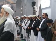 شیعه و سنی هرات با هم نماز جمعه را ادا کردند