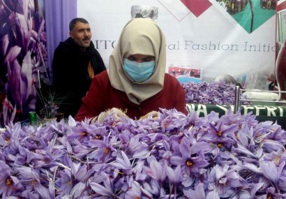 امسال هرات ۱۷ تن زعفران خالص تولید کرده است