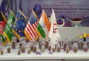 نمایشگاه پنجمین جشنواره گل زعفران هرات گشایش یافت