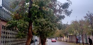 هوای زیبا و بارانی هرات