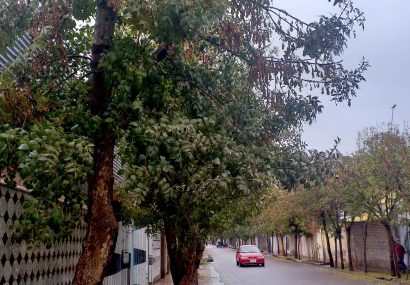 هوای زیبا و بارانی هرات