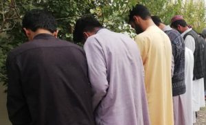 پنج قاچاقچی حرفه‌ای مواد مخدر به چنگ پولیس هرات افتادند