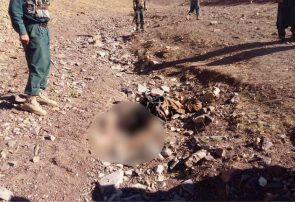 یک عضو طالبان در هرات کشته شد