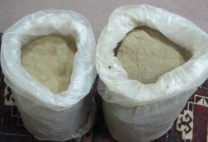 فروشنده ماهر چرس در هرات دستگیر شد