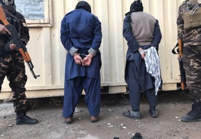 امنیت ملی هرات از یک رویداد تروریستی جلوگیری کرد