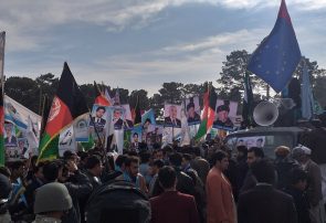 هواداران تیم ثبات و همگرایی در هرات علیه تقلب انتخاباتی شعار دادند