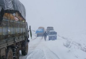 برف زمستانی مسیر فیروزکوه و ولسوالی‌های غور را بست