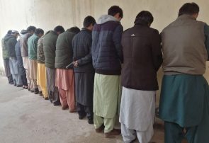 ۱۴ مظنون جرایم در هرات دستگیر شدند
