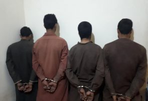 نهادهای امنیتی یک باند حرفه‌ای سرقت را پس از دستگیری آزاد کردند
