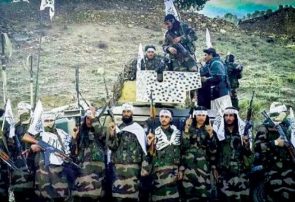 شماری از طالبان بادغیس می‌خواهند داعشی شوند