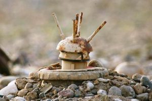 عامل اصلی ماین گذاری اطراف شهر فراه کشته شد