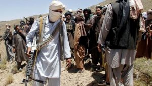 حمله طالبان در پکتیا/ 8 کشته و 7 زخمی از طالبان  