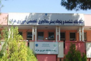 30 تن در اثر حوادث ترافیکی به شفاخانه حوزوی انتقال یافته‌اند