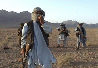 کشته شدن پنج تن از طالبان در پشتون زرغون هرات