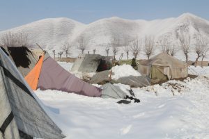حدود 10 تن از مهاجران دچار یخ زدگی شده‌اند