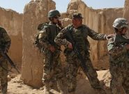طالبان در هرات ۱۱ کشته و شش زخمی دادند