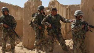 طالبان در هرات 11 کشته و شش زخمی دادند