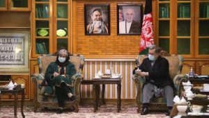 دیدار اعضای هیئت مذاکره کننده صلح دولت با سرور دانش