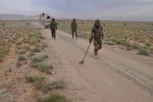 هشت طالب در شیدند هرات کشته شدند
