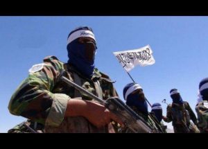 چهار جنگجوی طالب در فراه کشته شدند