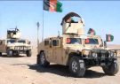 در دو ولسوالی هرات ۱۱ جنگجوی طالب کشته شدند