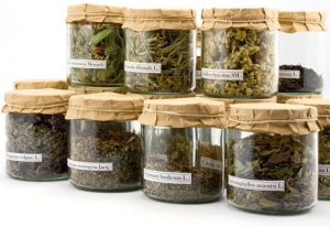 افزایش صادرات گیاهان طبی هرات به خارج از کشور