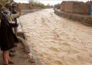 بارانی که دو ولسوالی هرات را در خود غرق کرد