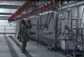 افتتاح کشتارگاه مواشی با هزینه شش میلیون دالر در هرات