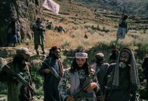 ۵۳ کشته و ۱۲ زخمی از طالبان در ولسوالی پشتون زرغون هرات