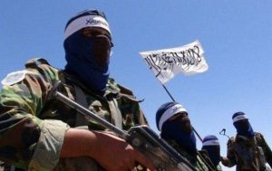 بازداشت یک عضو قطعه سرخ طالبان در هرات