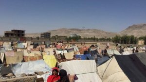 افزایش آمار بیجاشدگان در بادغیس/جنگ و خشک‌سالی دو عامل اصلی این مشکل