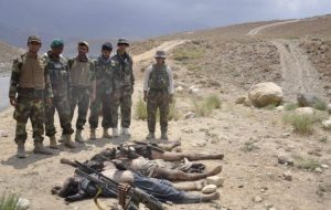 طالبان در هرات 21 کشته و 10 زخمی دادند